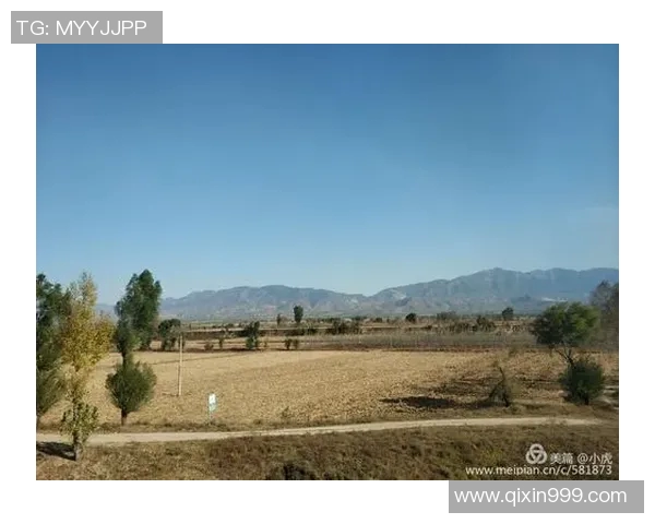 斯通斯的传奇之旅探寻摇滚乐的灵魂与时代的变迁