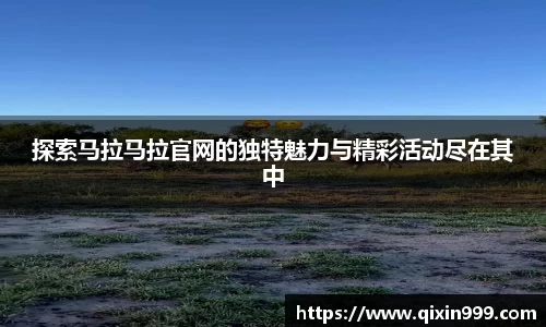米兰体育平台